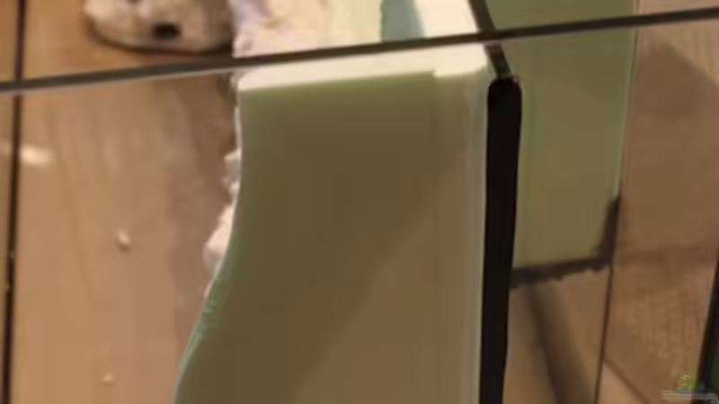 Froschufer im Aufbau von diveman (3)