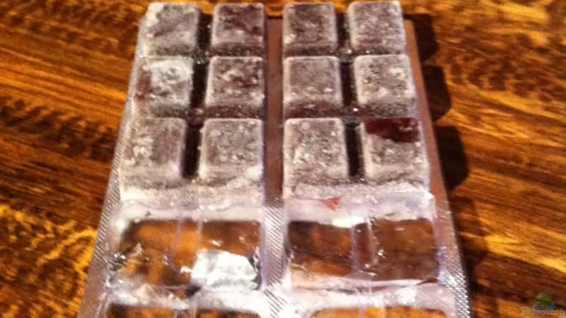 Frost- und Lebendfutter für die Aquaristik "Extended Version"