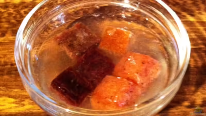 Frost- und Lebendfutter für die Aquaristik "Extended Version"