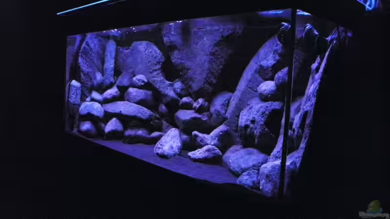 früh morgens von LaEy (10)