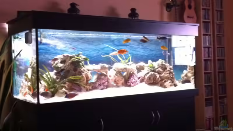 Früher...gaaaanz früher ;-) von Sunny73 (10)