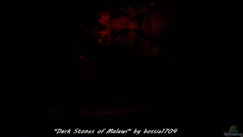 Frühes Morgenrot von bossie1704 (12)