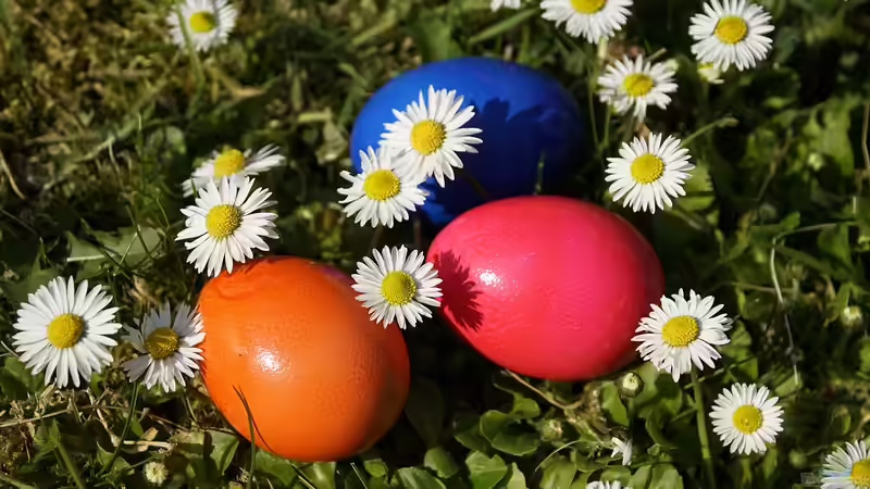 Frühlingserwachen im Garten – Ostern als Fest der Natur