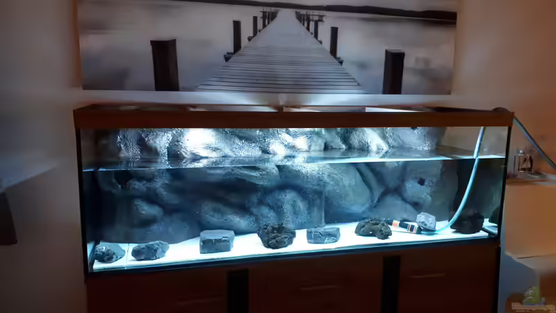 Füllen des Aquariums von Malawi22 (5)