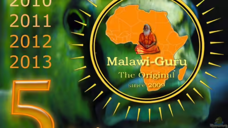 Fünf Jahre Malawi-Guru ??? Die Geschichte