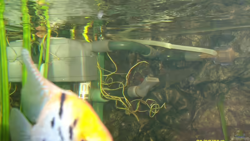 für CO2 von sandmann73 (10)