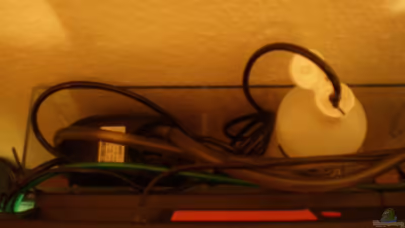 Für den Fall der Fälle: Aussenfilter im Acrylglas-Behälter. Auffangvolumen ca. von Muschelknacker (7)