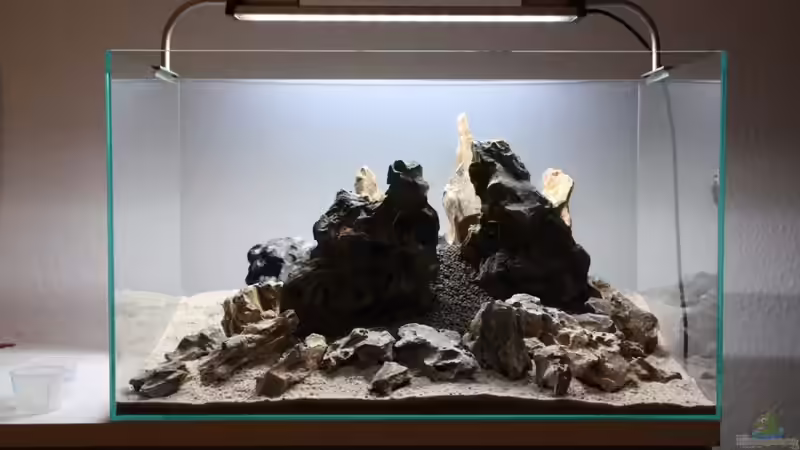 Für den Hintergrund verwende ich als ´Bergspitzen´ noch einige spitze Steine. von Arami Gurami (19)