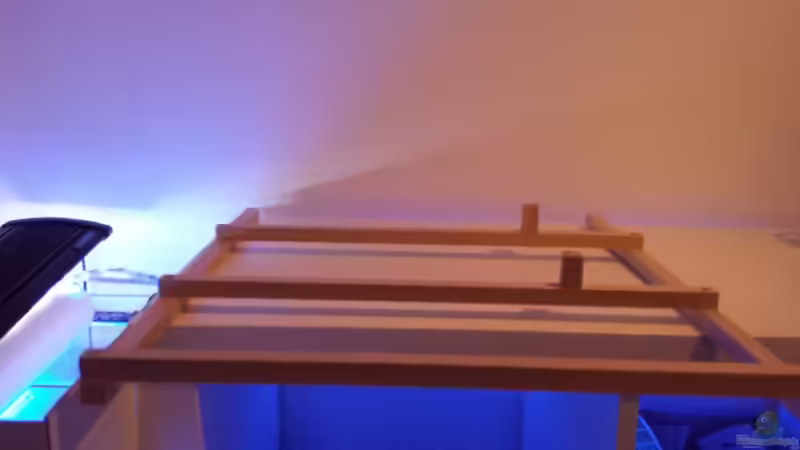 Für die Beleuchtung habe ich ein Gestell gebaut, damit diese nicht direkt auf der Abdeckscheibe liegen muss. von Amazonasbecken.eu (15)
