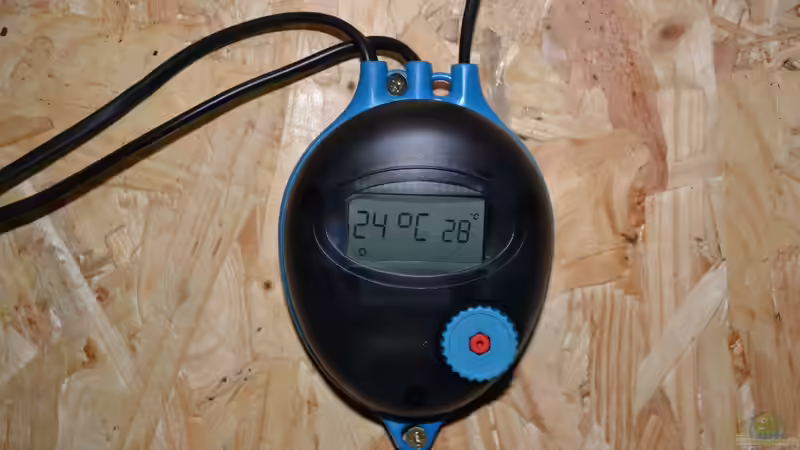 Für die Temperaturregelung ist zur Zeit ein Hydor Hydroset mit Digitalanzeige zuständig. von GGuardiaNN (61)