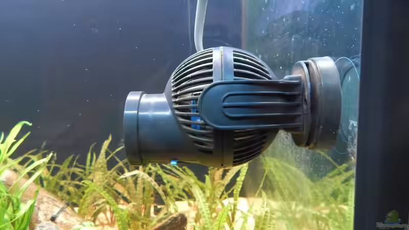 Für etwas mehr Wasserbewegung von Merotheq (47)