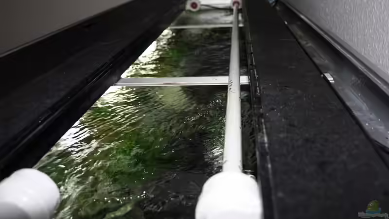 für genügend Oberflächenbewegung ist gesorgt von JörgsMalawis (35)