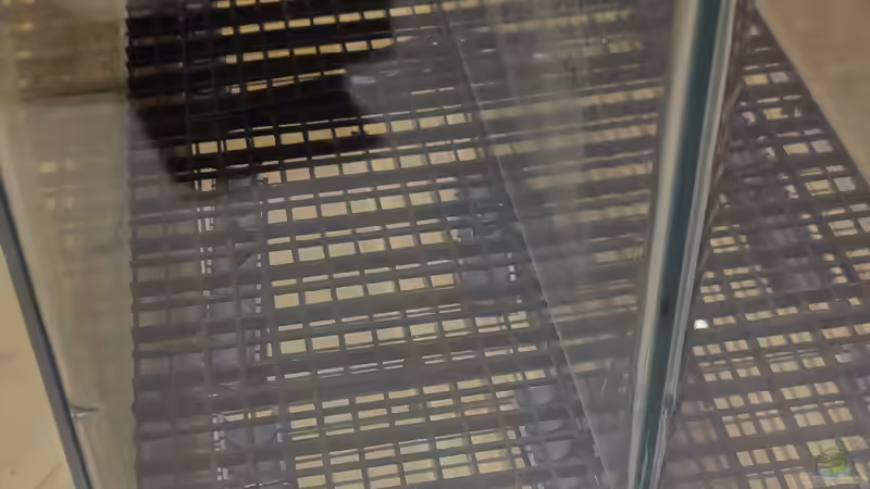 für gute Strümung von Woidma (14)