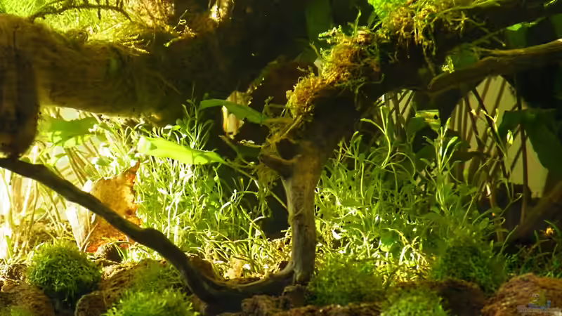 Für jeden den passenden Platz - 06.05.2011 von bergfrau (23)