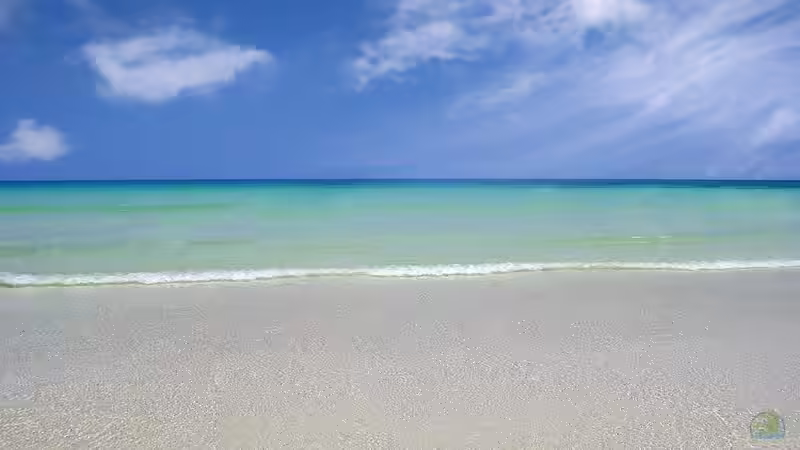 Fuerteventura - Insel der Ruhe, Naturwunder und endlosen Strände