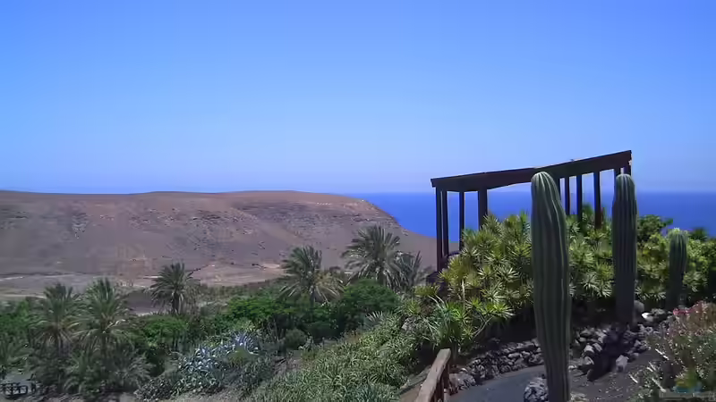 Fuerteventura - Insel der Ruhe, Naturwunder und endlosen Strände