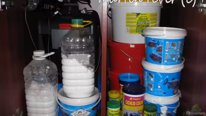 füttern und filtration von martin4ever (25)