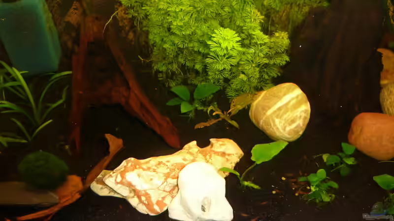 Fütterung 2 von Jan Marc (10)