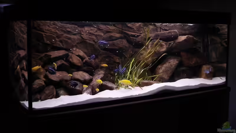 Fütterungszeit :) von Logo (3)