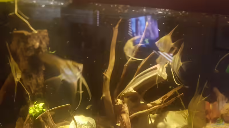 Fütterungszeit von Kevin Fruhen (19)