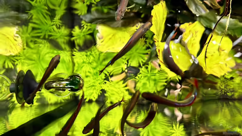 Fütterungszeit von Thilo (37)