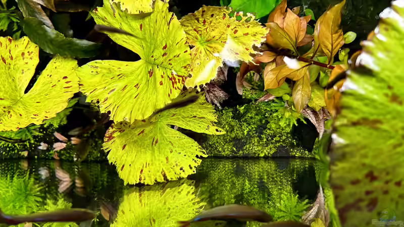 Fütterungszeit von Thilo (38)