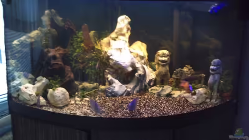 FULVA VENEZIA 350L. von Michael Kreutz (2)