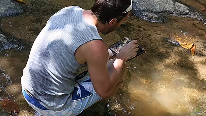 Fundort ---> Thailand 2012 von -Der Österreicher- (22)