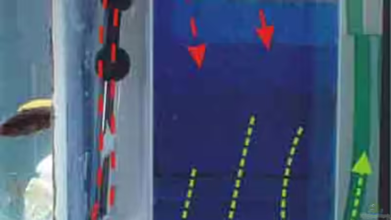 Funktion des Innenfilters von Lutz Rall (6)