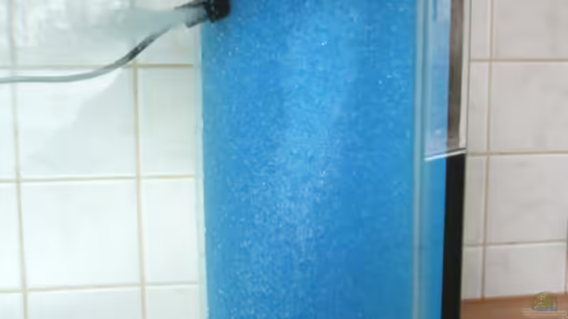 Funktionstest Bild 2 von Ronny Meyer (7)