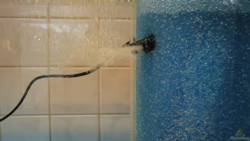 Funktionstest Bild 3 von Ronny Meyer (8)