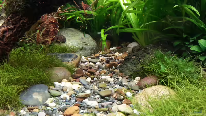 Fusskies- und Steine  von Marcel Reiter (18)