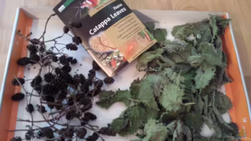 Futter (Erlenzapfen, Brennnessel getrocknet, Seemandelbaumblätter) von lützkopf (38)