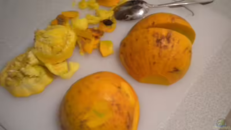 Futter für Garnelen ??? der Hokkaidokürbis