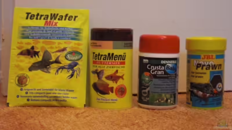 Futter Garnelen und Bärblinge von Malawi TOM (34)