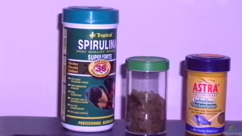 Futter von CICHLID (5)