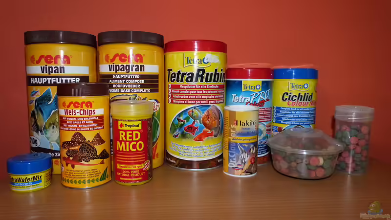 Futter von Dieter (71)