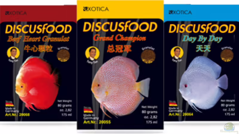 Futter von Discus (12)