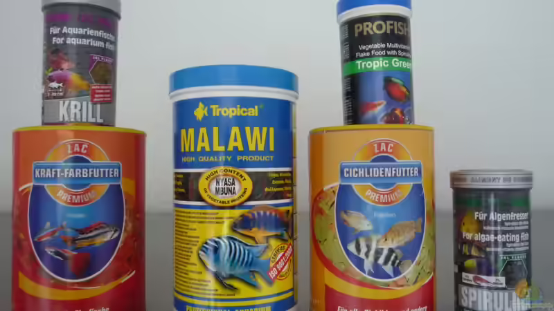 Futter von Frank Wollenburg (7)