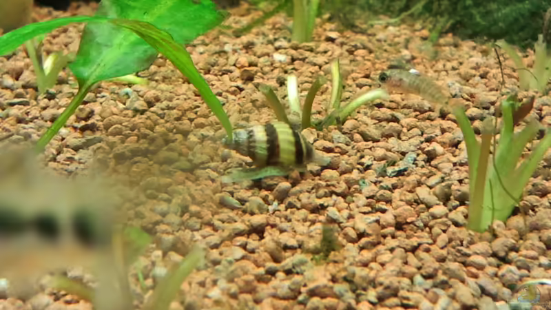 Futter!!! von Jens Hug (13)