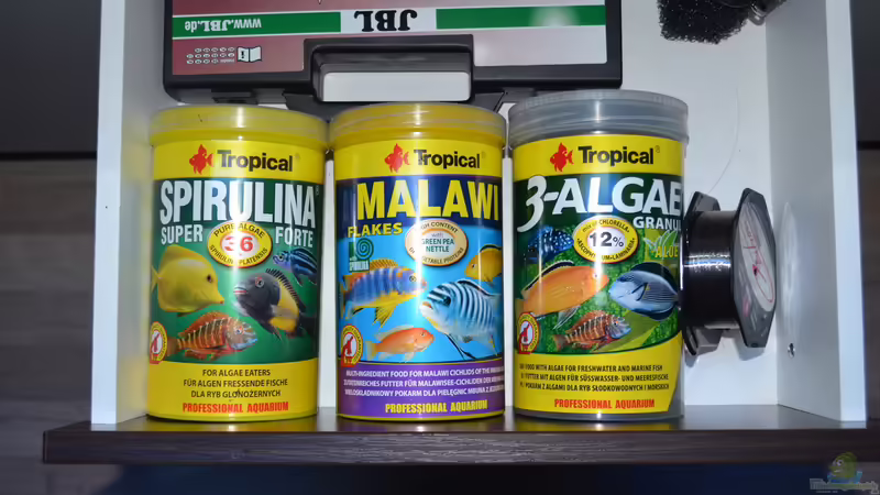 Futter von Lordi (20)