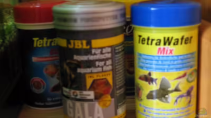 Futter von Tetra : Pro Colour, Wels Tabs, Chrisps, und JBL Gala mit getrocknetem Lebendfutter aller Art! von Jonas G. (9)