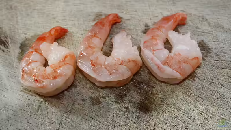 Futter von Tobias Seiffert (29)