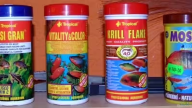 Futter von Wels-fan (45)