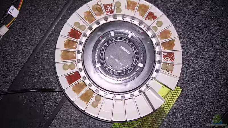 Futter wird 4x/Tag verabreicht. von Christian Grunwald (53)