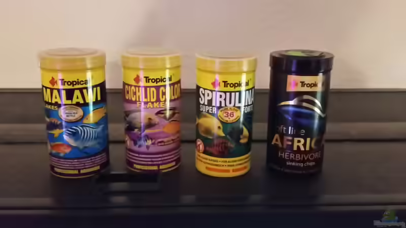 Futterauswahl von Andreas Musterfisch (15)