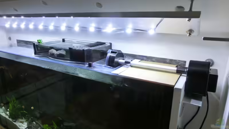 Futterautomat und Aufzuchtbecken halb geöffneter  Deckel von The BugZ (21)