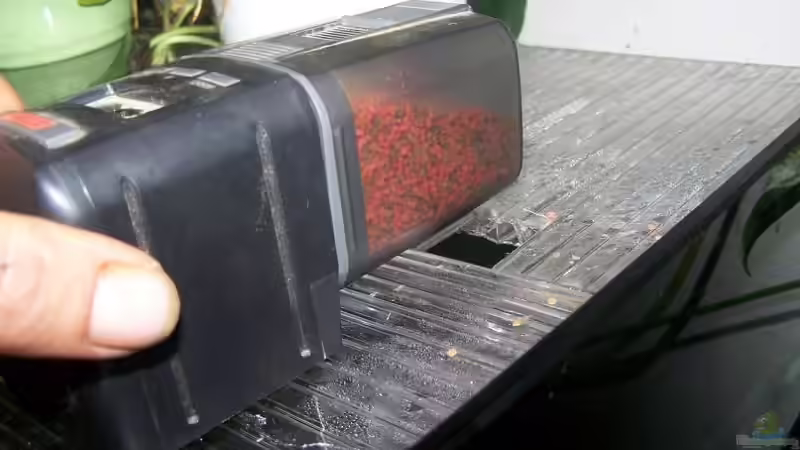 Futterautomat von Klabuster (18)