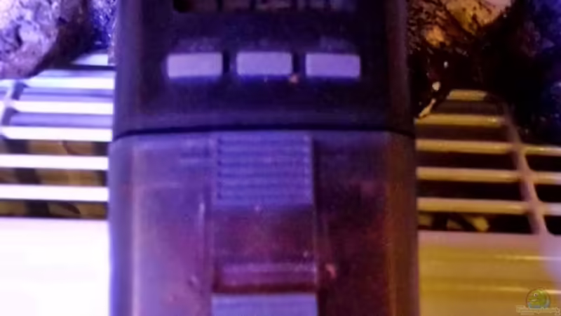 Futterautomat von snooze (78)