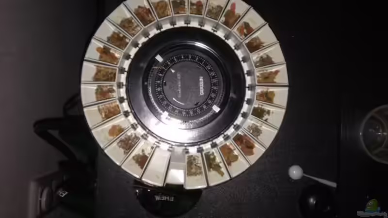 Futterautomat von Tarmina (28)